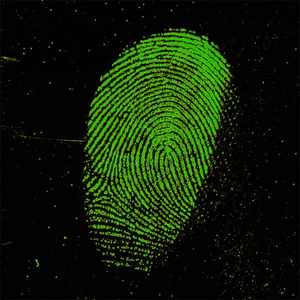 Digital Forensics Image Analysis