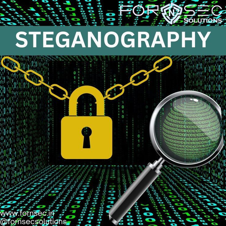 Hidden In Plain Sight — Steganographic Analysis of a Concealed Payload